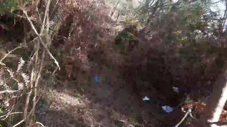 Cuni40  25-03-2022 Recorded Video fuckass