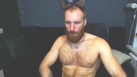 King_Harley