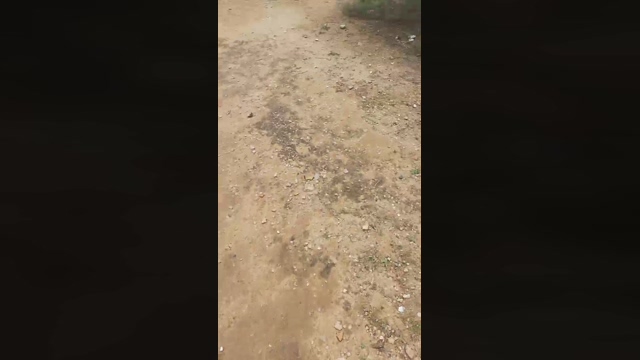 Slavomir78  25-03-2022 video ass