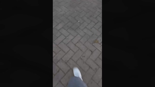 emanuele114  24-03-2022 Recorded Video analtoy