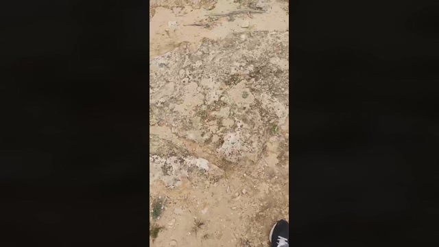 Slavomir78  25-03-2022 Recorded Video cute