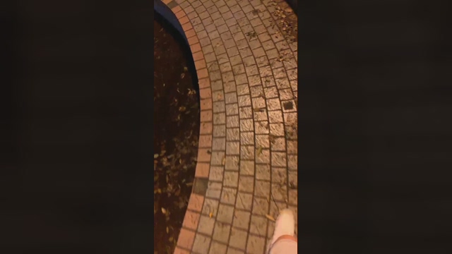 rex_2327  25-03-2022 video jackoff