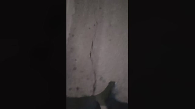 SEGUNDOPOT  27-03-2022 video twink