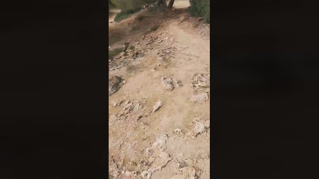 Slavomir78  27-03-2022 Recorded Video kiss