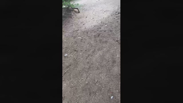 Slavomir78  27-03-2022 video Download