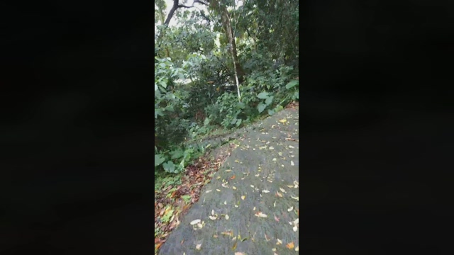 alien54321  27-03-2022 video sexy