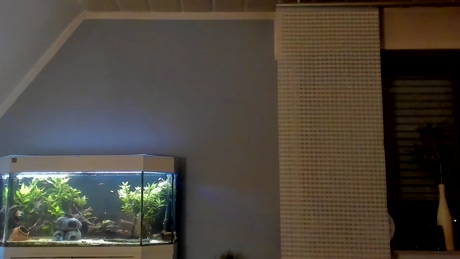 ronhill13  27-03-2022 video ass