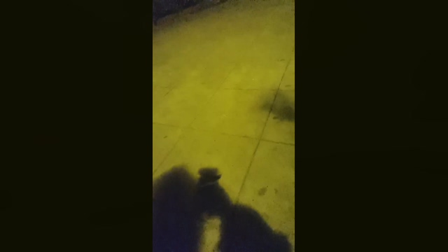 2horny2gay  28-03-2022 video sweet