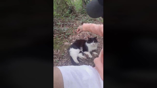 PenisAVoir  27-03-2022 video Download