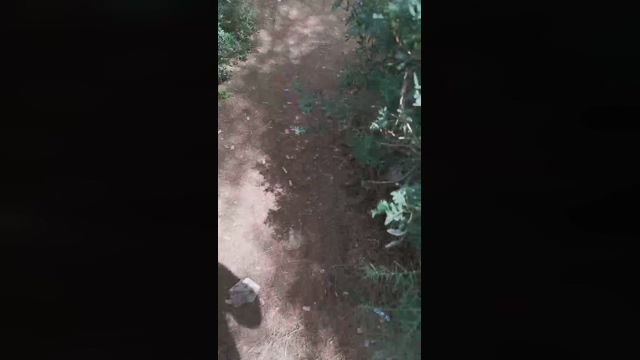 Slavomir78  28-03-2022 Recorded Video Ass
