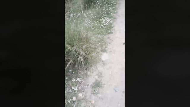 Slavomir78  28-03-2022 video bicurious