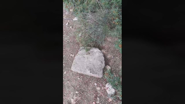 Slavomir78  28-03-2022 Recorded Video Naked