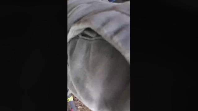 Slavomir78  28-03-2022 video bigass