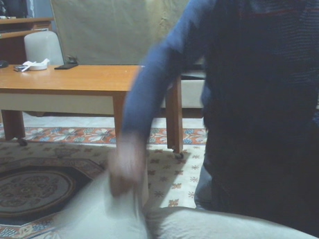 pollen_07  27-03-2022 Recorded Video gay