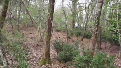 Cuni40  28-03-2022 Recorded Video lush