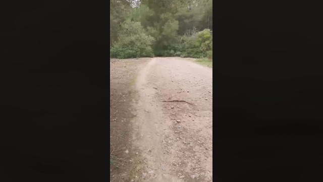 Slavomir78  29-03-2022 Recorded Video fuckhard
