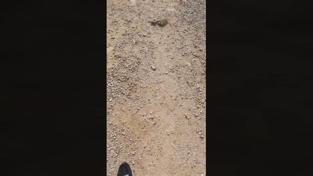 Slavomir78  28-03-2022 video sexybody