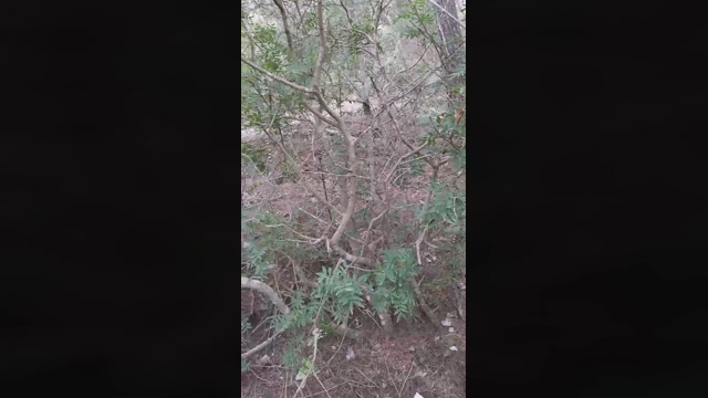 Slavomir78  29-03-2022 video Download