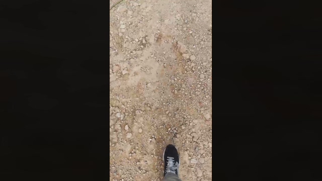 Slavomir78  28-03-2022 Recorded Video suckcock