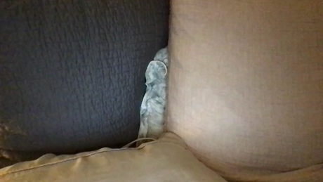 benaarons  30-03-2022 video juicy