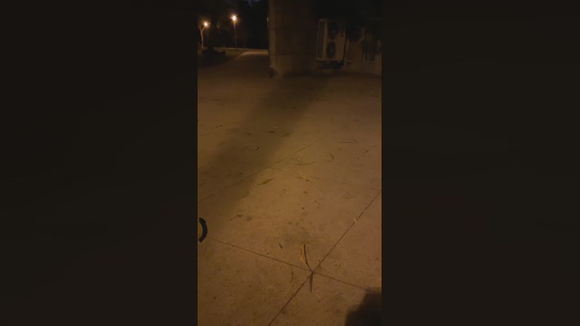 ef0769sexy  30-03-2022 video analtoy