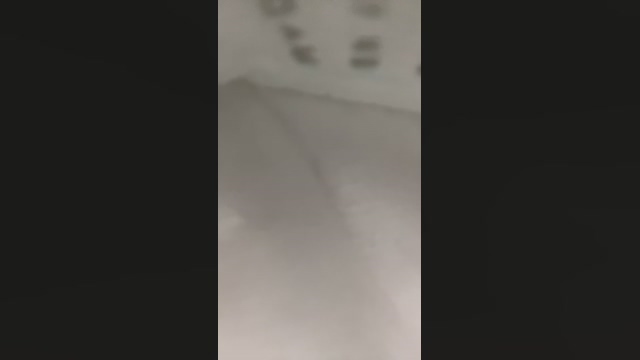 Pispol8  31-03-2022 video bicurious