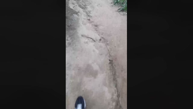 Slavomir78  30-03-2022 Recorded Video deep