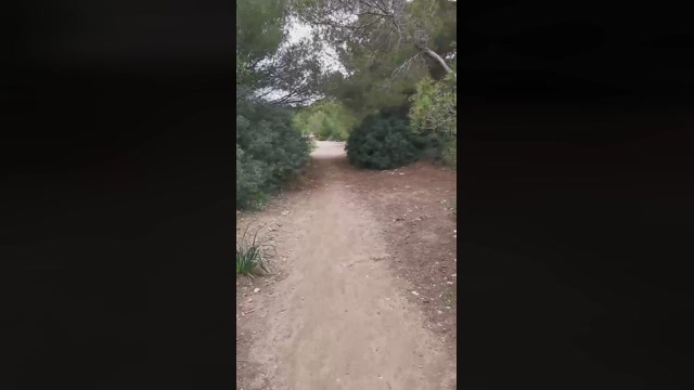 Slavomir78  30-03-2022 video spanking