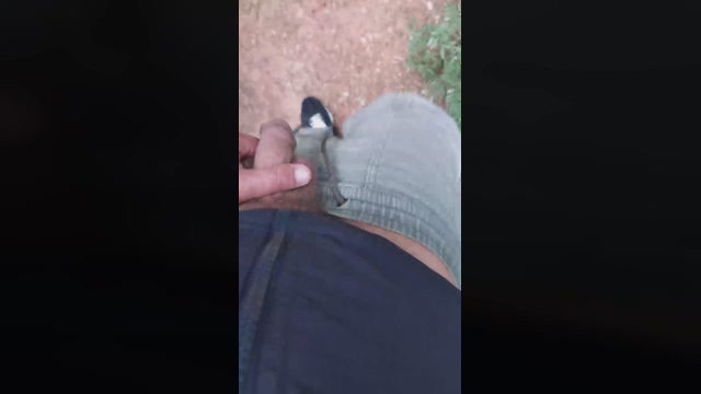 Slavomir78  31-03-2022 Recorded Video yummy