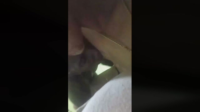 novin_dv  01-04-2022 video orgasm