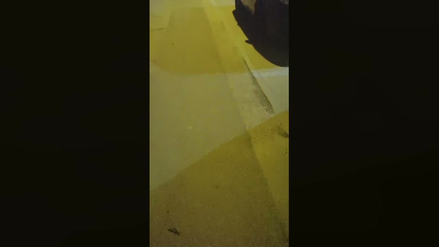 2horny2gay  01-04-2022 Recorded Video harddick