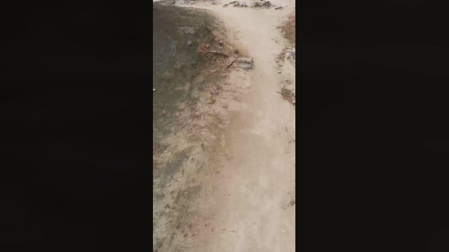 Slavomir78  02-04-2022 Recorded Video Cam