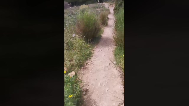 Slavomir78  02-04-2022 video bigtoys