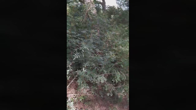 Slavomir78  01-04-2022 Recorded Video deepthroat