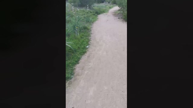 Slavomir78  01-04-2022 video bigass