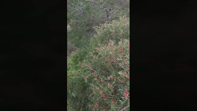 Slavomir78  03-04-2022 Recorded Video bigload