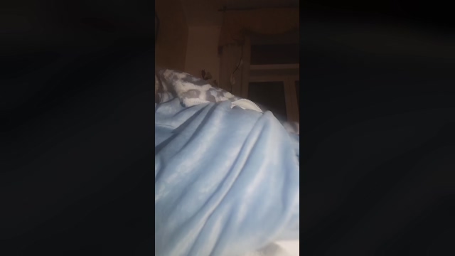 martinabigst 03-04-2022 wank 