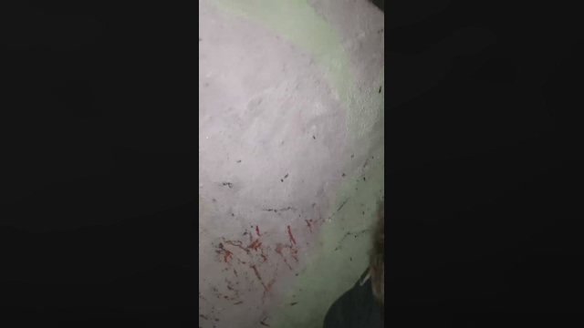 Slavomir78  04-04-2022 video bigload