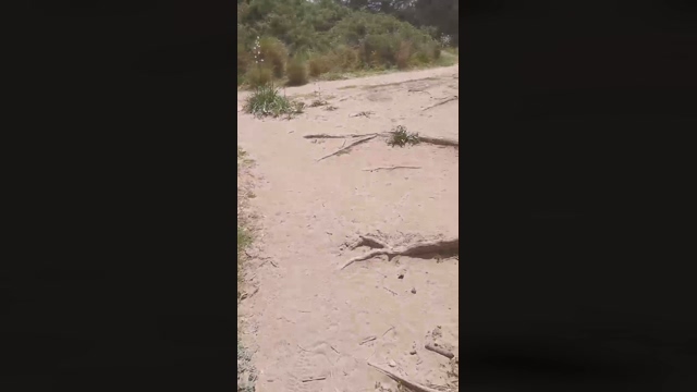 Slavomir78  05-04-2022 video sexykitty