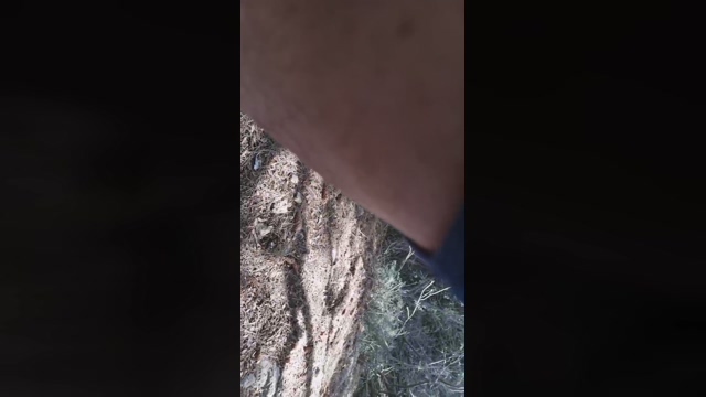 Slavomir78  05-04-2022 video jerkoff