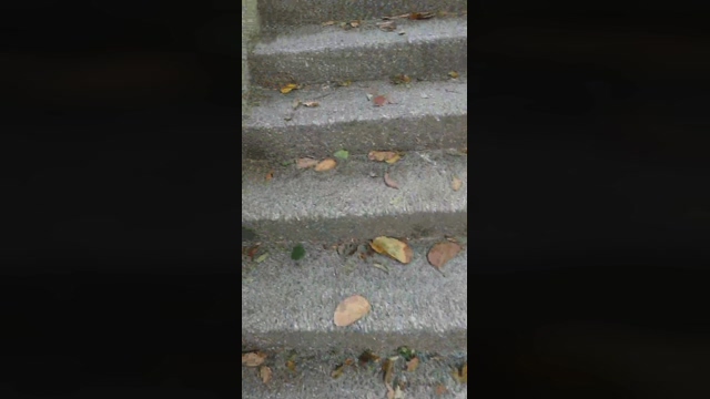 alien54321  05-04-2022 Recorded Video dirty