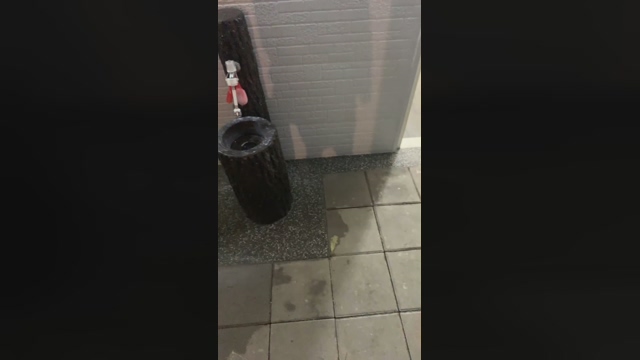 rex_2327  04-04-2022 video show