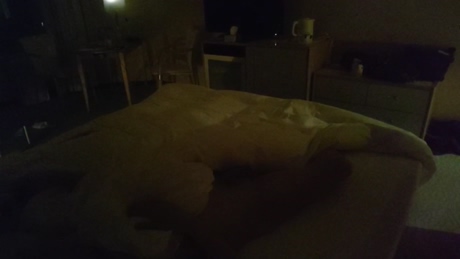 tokyo1130021kaz  04-04-2022 video hard