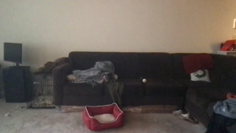 stylesjackson  07-04-2022 video fuckhard