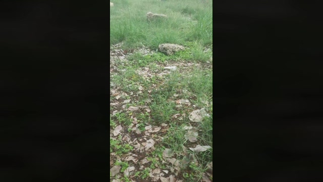 Kilyou  07-04-2022 video spank