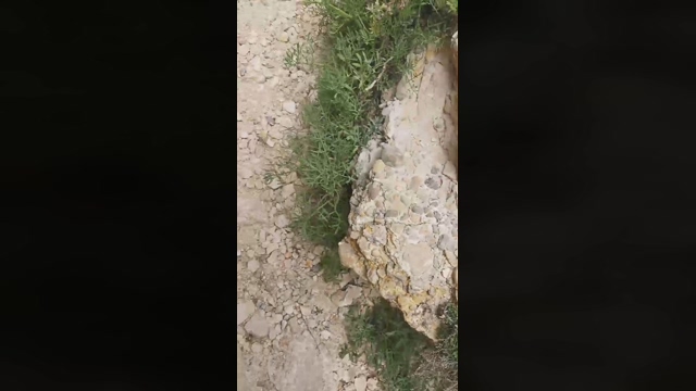 Slavomir78  09-04-2022 Recorded Video blowjob