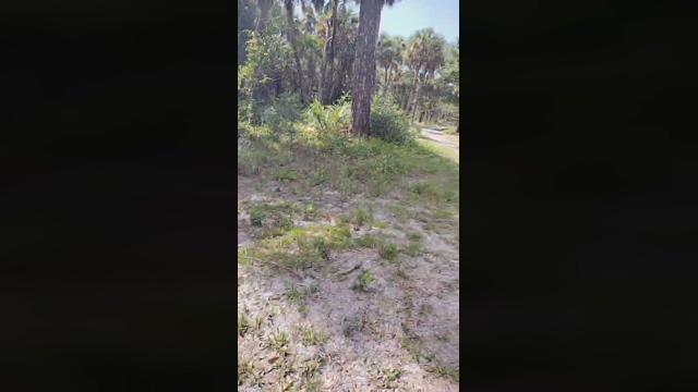 underwatermast1  08-04-2022 Recorded Video Ass