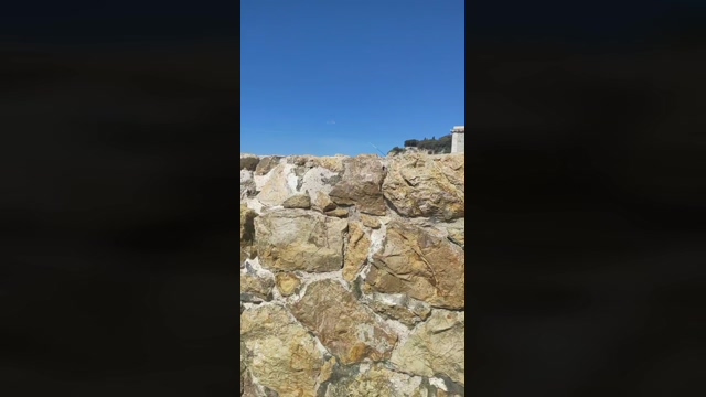 elvis34h  10-04-2022 video beauty