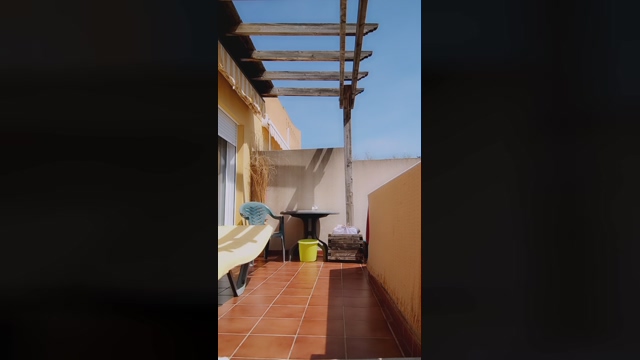 stefycamy 10-04-2022 bigcock 