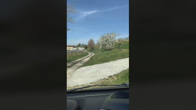 Edward_venezia  11-04-2022 video Porn